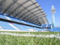 Awatar użytkownika