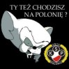Awatar użytkownika